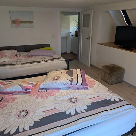 Feriendomizil Burgert Naehe Europapark Apartment Kippenheim Ngoại thất bức ảnh