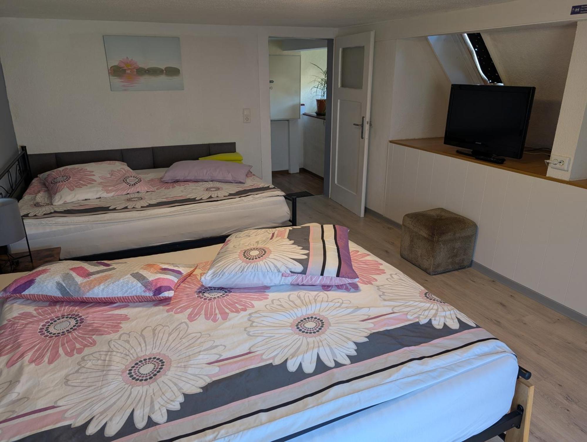 Feriendomizil Burgert Naehe Europapark Apartment Kippenheim Ngoại thất bức ảnh